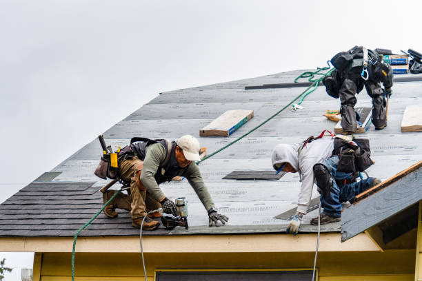 Professional Gutter Installation technician working in Cordova, IL